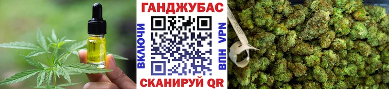 Cannafood конопля  Великий Новгород 