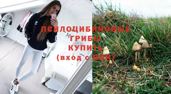 мефедрон Богородицк