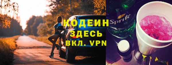 гашик Верея