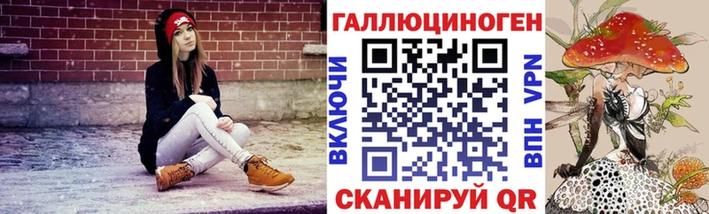 наркотики  Великий Новгород  omg tor  Псилоцибиновые грибы Psilocybe 